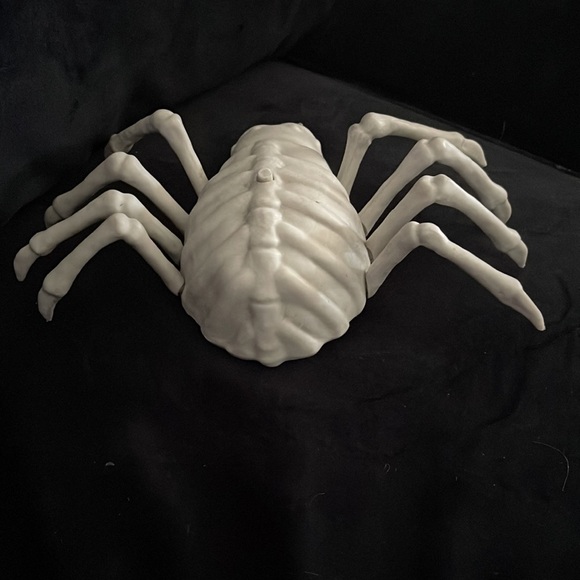 COPY - Animated Skele Spider - Picture 4 of 5